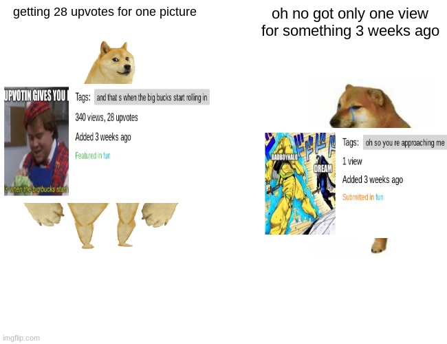 Buff Doge vs. Cheems | getting 28 upvotes for one picture; oh no got only one view for something 3 weeks ago | image tagged in memes,buff doge vs cheems | made w/ Imgflip meme maker