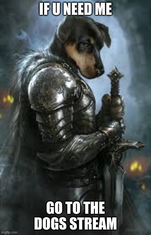 Dog Knight | IF U NEED ME; GO TO THE DOGS STREAM | image tagged in dog knight,memes,dogs,knight | made w/ Imgflip meme maker