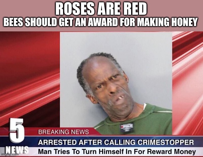 How much money ;) | ROSES ARE RED; BEES SHOULD GET AN AWARD FOR MAKING HONEY | image tagged in memes,funny | made w/ Imgflip meme maker