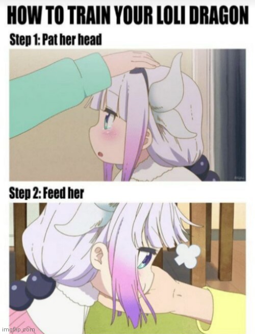 How to train your dragon loli | made w/ Imgflip meme maker