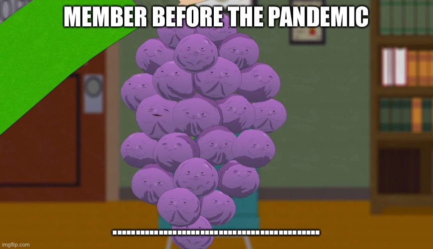 member berries | MEMBER BEFORE THE PANDEMIC; ............................................. | image tagged in member berries | made w/ Imgflip meme maker