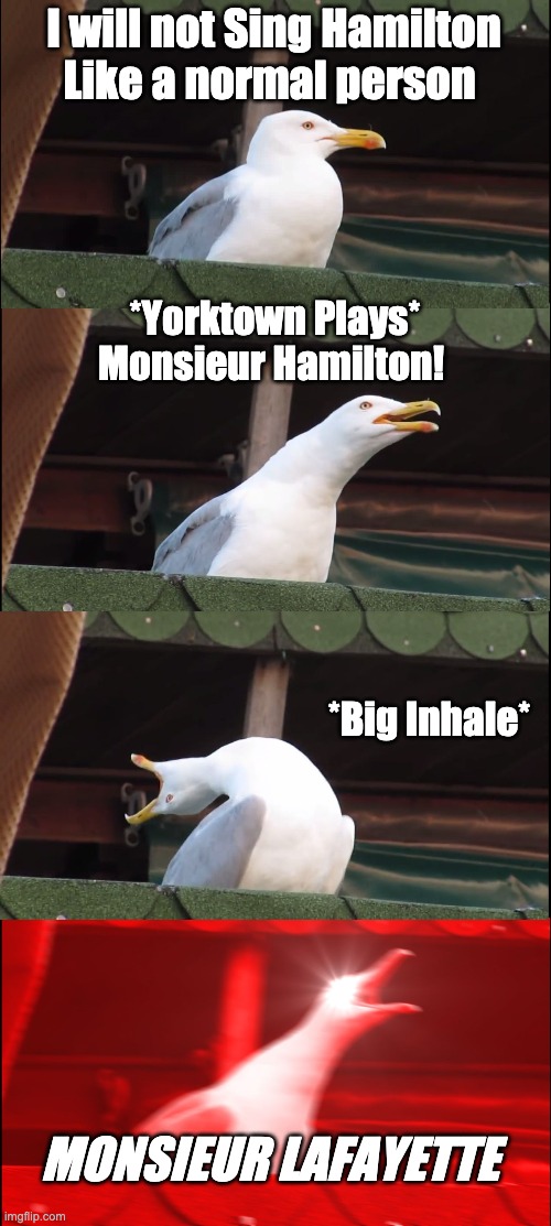 Inhaling Seagull | I will not Sing Hamilton Like a normal person; *Yorktown Plays*
Monsieur Hamilton! *Big Inhale*; MONSIEUR LAFAYETTE | image tagged in memes,inhaling seagull | made w/ Imgflip meme maker