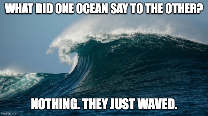 WHAT DID ONE OCEAN SAY TO THE OTHER? NOTHING. THEY JUST WAVED. | image tagged in bad pun,ocean | made w/ Imgflip meme maker