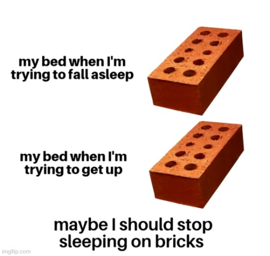 I should stop sleeping on bricks | image tagged in memes,funny,pandaboyplaysyt,bricks | made w/ Imgflip meme maker