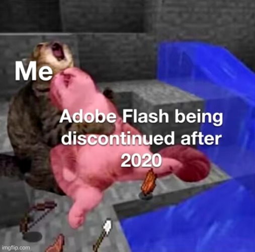 We will miss you flash. F in the comments | image tagged in memes,funny,adobe flash,2020,pandaboyplaysyt,f | made w/ Imgflip meme maker