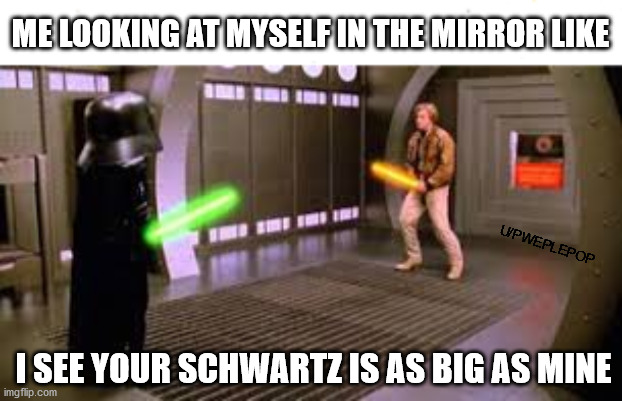 Big schwartz | ME LOOKING AT MYSELF IN THE MIRROR LIKE; U/PWEPLEPOP; I SEE YOUR SCHWARTZ IS AS BIG AS MINE | image tagged in funny memes,funny,memes,schwartz | made w/ Imgflip meme maker