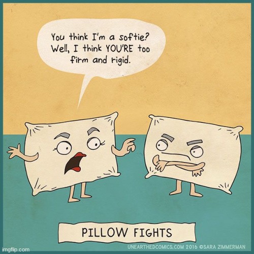 Pillow fight comic | image tagged in comics/cartoons,pillow fight,pillows | made w/ Imgflip meme maker