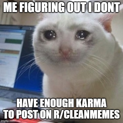 forgive the upper case r | ME FIGURING OUT I DONT; HAVE ENOUGH KARMA TO POST ON R/CLEANMEMES | image tagged in crying cat | made w/ Imgflip meme maker