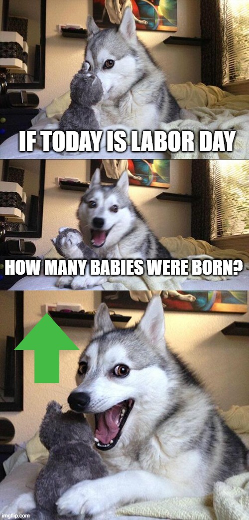 Lol | IF TODAY IS LABOR DAY; HOW MANY BABIES WERE BORN? | image tagged in memes,bad pun dog,puns,labor day,funny,animals | made w/ Imgflip meme maker