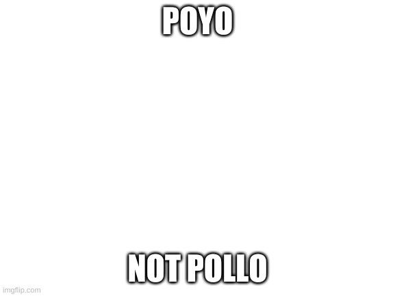 Blank White Template | POYO NOT POLLO | image tagged in blank white template | made w/ Imgflip meme maker