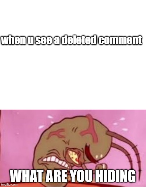 to true | when u see a deleted comment; WHAT ARE YOU HIDING | image tagged in blank white template,visible frustration,memes,funny,why are you reading this | made w/ Imgflip meme maker