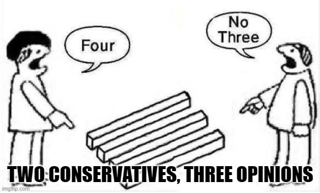 TWO CONSERVATIVES, THREE OPINIONS | made w/ Imgflip meme maker