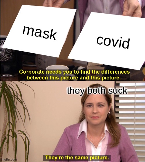 why | mask; covid; they both suck | image tagged in memes,they're the same picture | made w/ Imgflip meme maker