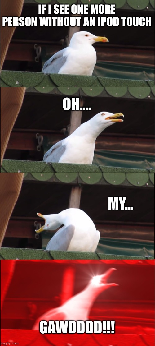 Inhaling Seagull Meme | IF I SEE ONE MORE PERSON WITHOUT AN IPOD TOUCH; OH.... MY... GAWDDDD!!! | image tagged in memes,inhaling seagull | made w/ Imgflip meme maker