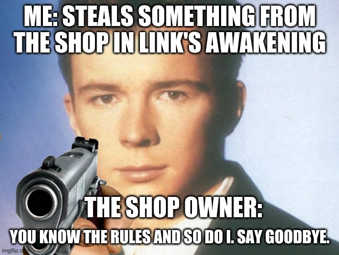 gamers will understand | ME: STEALS SOMETHING FROM THE SHOP IN LINK'S AWAKENING; THE SHOP OWNER:; YOU KNOW THE RULES AND SO DO I. SAY GOODBYE. | image tagged in you know the rules and so do i say goodbye | made w/ Imgflip meme maker