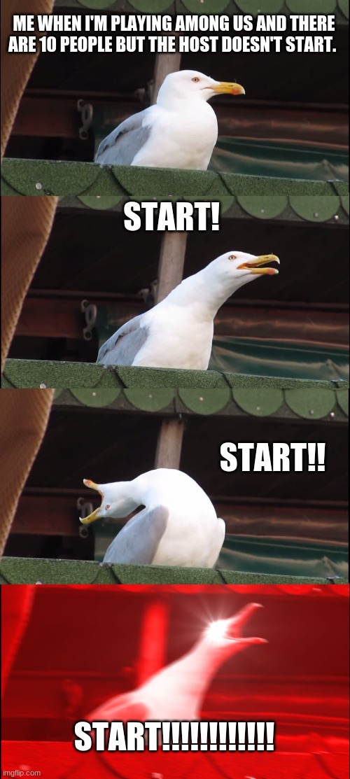 Inhaling Seagull Meme | ME WHEN I'M PLAYING AMONG US AND THERE ARE 10 PEOPLE BUT THE HOST DOESN'T START. START! START!! START!!!!!!!!!!!! | image tagged in memes,inhaling seagull | made w/ Imgflip meme maker