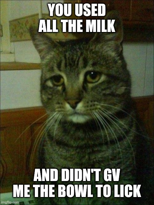 Depressed Cat | YOU USED ALL THE MILK; AND DIDN'T GV ME THE BOWL TO LICK | image tagged in memes,depressed cat | made w/ Imgflip meme maker