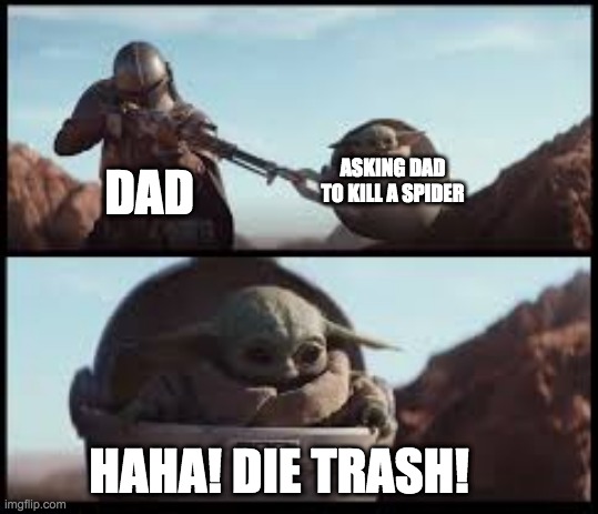 DAD; ASKING DAD TO KILL A SPIDER; HAHA! DIE TRASH! | image tagged in star wars | made w/ Imgflip meme maker