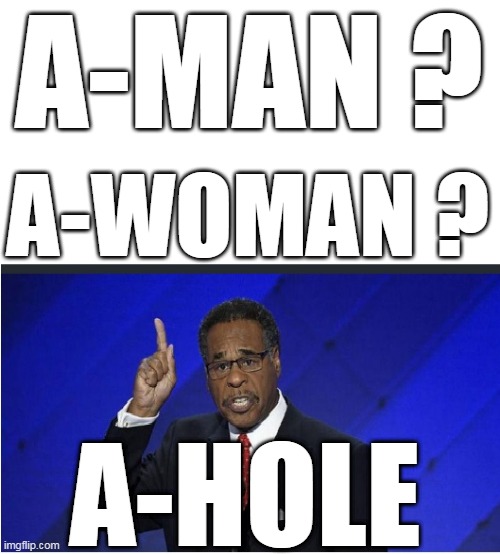 Democrat A-men A-Hole |  A-MAN ? A-WOMAN ? A-HOLE | image tagged in idiot democrats,a-men,stupid congressman,moronic left | made w/ Imgflip meme maker