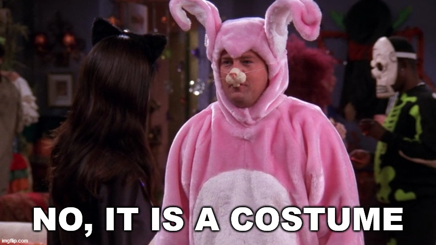 Friends Chandler Bunny Costume Halloween | NO, IT IS A COSTUME | image tagged in friends chandler bunny costume halloween | made w/ Imgflip meme maker