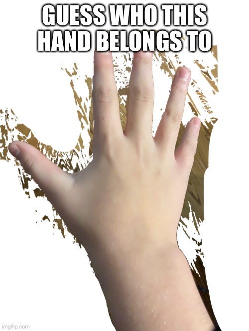 Guess who i am | GUESS WHO THIS HAND BELONGS TO | made w/ Imgflip meme maker