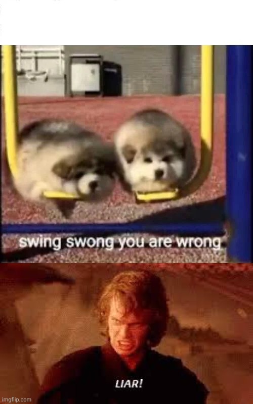 image tagged in swing swong you are wrong,anakin liar | made w/ Imgflip meme maker