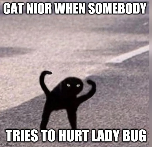 mlb | CAT NIOR WHEN SOMEBODY; TRIES TO HURT LADY BUG | image tagged in cursed cat | made w/ Imgflip meme maker