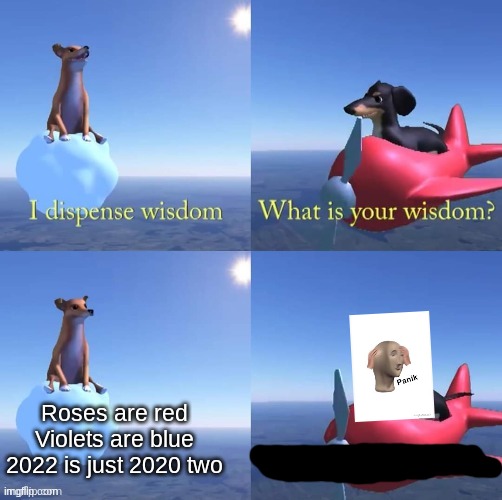 Wisdom | Roses are red
Violets are blue
2022 is just 2020 two | image tagged in wisdom dog | made w/ Imgflip meme maker