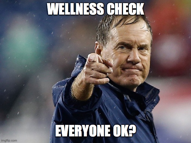 Patriots Creed | WELLNESS CHECK; EVERYONE OK? | image tagged in patriots creed | made w/ Imgflip meme maker