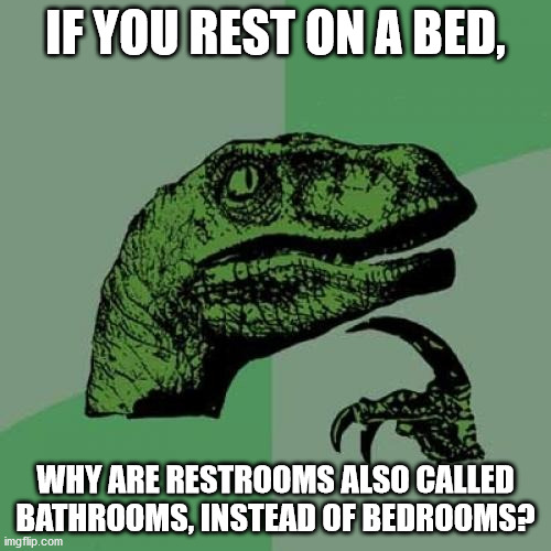 Philosoraptor | IF YOU REST ON A BED, WHY ARE RESTROOMS ALSO CALLED BATHROOMS, INSTEAD OF BEDROOMS? | image tagged in memes,philosoraptor | made w/ Imgflip meme maker