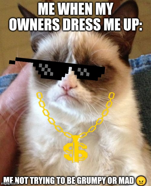 me not trying to be mad ? | ME WHEN MY OWNERS DRESS ME UP:; ME NOT TRYING TO BE GRUMPY OR MAD 😠 | image tagged in memes,grumpy cat | made w/ Imgflip meme maker