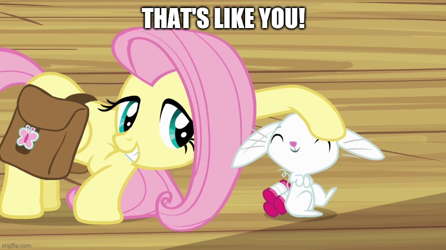 THAT'S LIKE YOU! | image tagged in angel bunny,fluttershy,my little pony friendship is magic,cute | made w/ Imgflip meme maker
