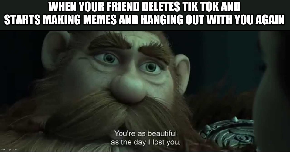 You are as beautiful as the day I lost you | WHEN YOUR FRIEND DELETES TIK TOK AND STARTS MAKING MEMES AND HANGING OUT WITH YOU AGAIN | image tagged in you are as beautiful as the day i lost you | made w/ Imgflip meme maker