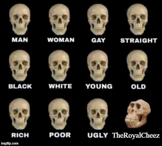 This skull is VERY toxic! Stay back, kids | TheRoyalCheez | image tagged in idiot skull | made w/ Imgflip meme maker