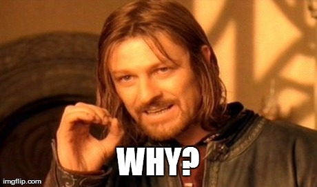 One Does Not Simply Meme | WHY? | image tagged in memes,one does not simply | made w/ Imgflip meme maker
