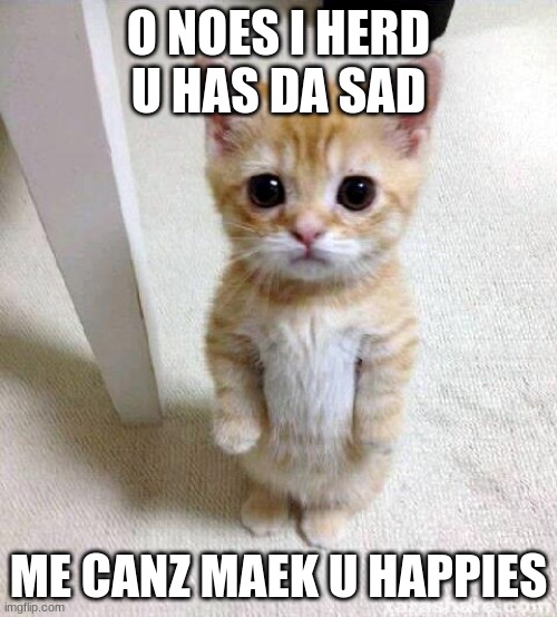 Cute Cat | O NOES I HERD U HAS DA SAD; ME CANZ MAEK U HAPPIES | image tagged in memes,cute cat | made w/ Imgflip meme maker