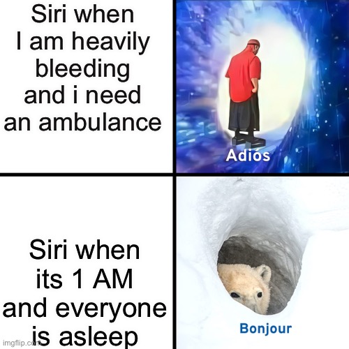 as true af | Siri when I am heavily bleeding and i need an ambulance; Siri when its 1 AM and everyone is asleep | image tagged in adios bonjour,stop reading the tags,because,no one cares,about the tags | made w/ Imgflip meme maker