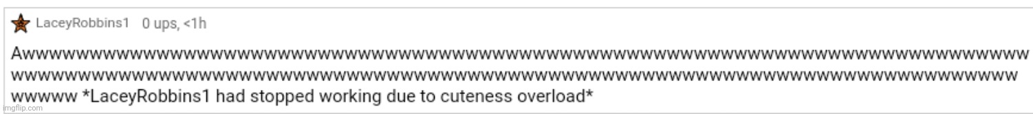 LaceyRobbins1 had stopped working | image tagged in laceyrobbins1 had stopped working | made w/ Imgflip meme maker