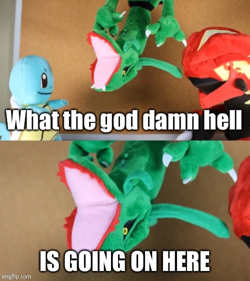 Rayquaza wth | image tagged in rayquaza wth | made w/ Imgflip meme maker