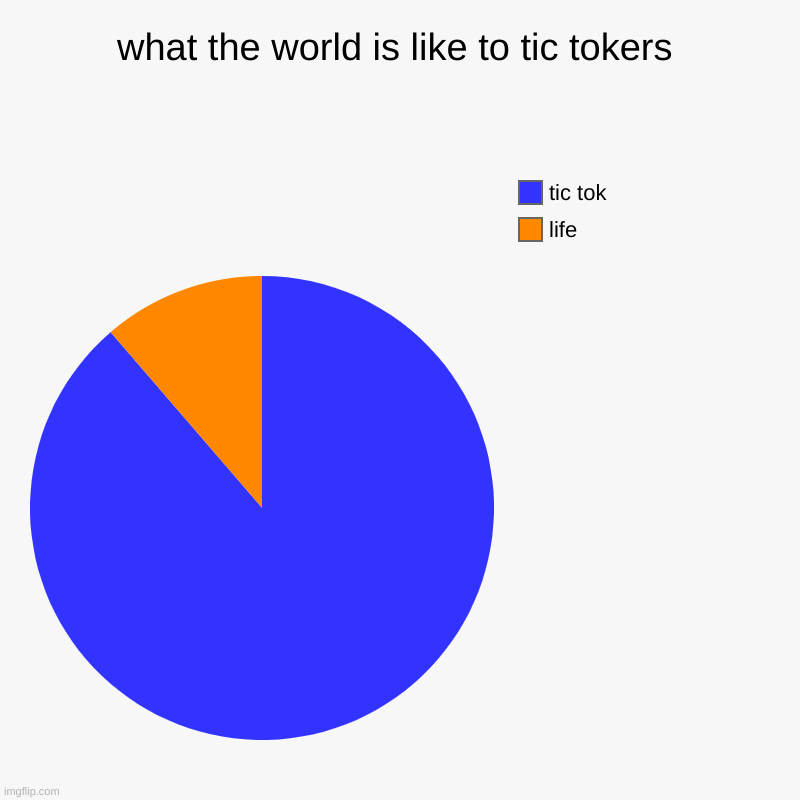 what the world is like to tic tokers | life, tic tok | image tagged in charts,pie charts | made w/ Imgflip chart maker