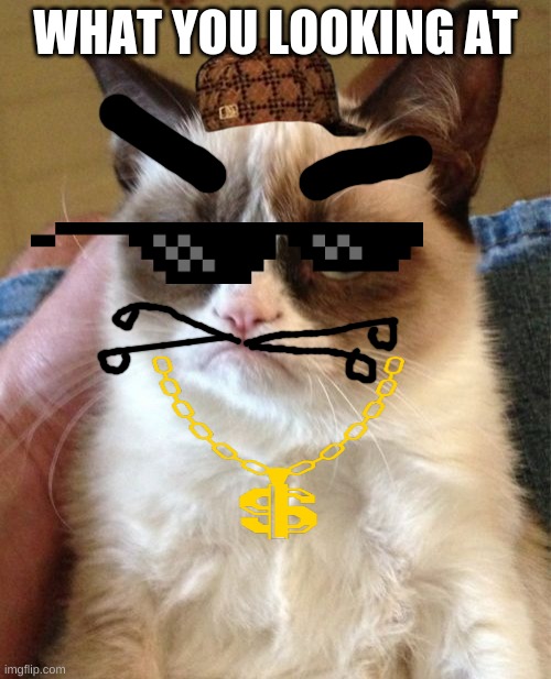 Grumpy Cat Meme | WHAT YOU LOOKING AT | image tagged in memes,grumpy cat | made w/ Imgflip meme maker
