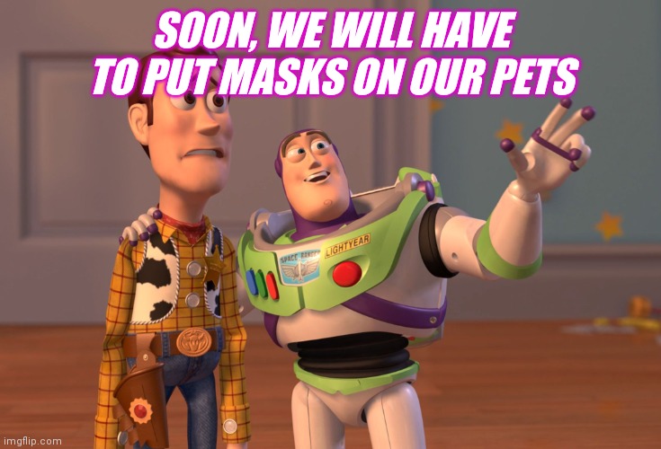 X, X Everywhere | SOON, WE WILL HAVE TO PUT MASKS ON OUR PETS | image tagged in memes,x x everywhere | made w/ Imgflip meme maker