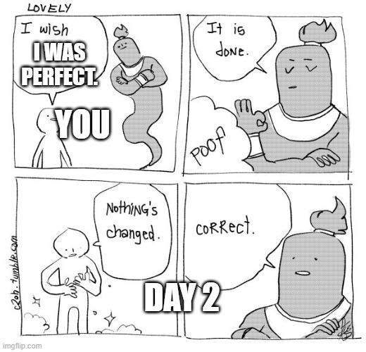 Wholesome Memes | I WAS PERFECT. YOU; DAY 2 | image tagged in i wish genie nothing's changed | made w/ Imgflip meme maker