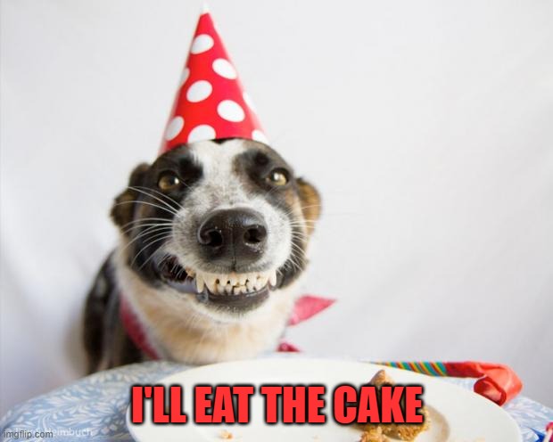 birthday dog | I'LL EAT THE CAKE | image tagged in birthday dog | made w/ Imgflip meme maker