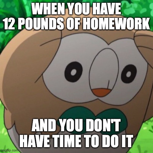 oof | WHEN YOU HAVE 12 POUNDS OF HOMEWORK; AND YOU DON'T HAVE TIME TO DO IT | image tagged in rowlet meme template | made w/ Imgflip meme maker