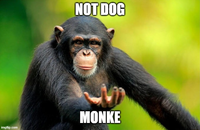 NOT DOG MONKE | made w/ Imgflip meme maker