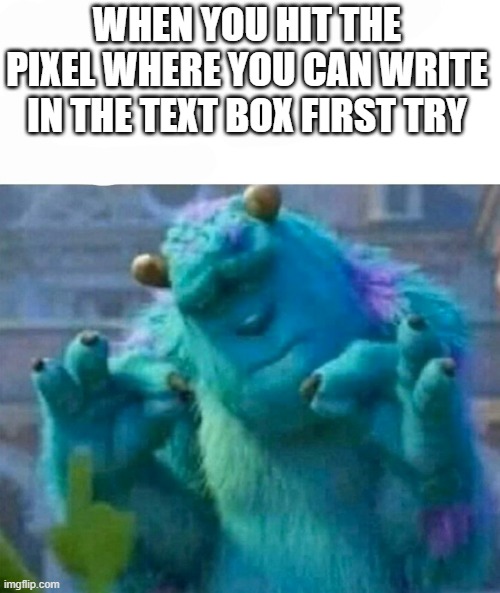 Pleased Sulley | WHEN YOU HIT THE PIXEL WHERE YOU CAN WRITE IN THE TEXT BOX FIRST TRY | image tagged in pleased sulley | made w/ Imgflip meme maker