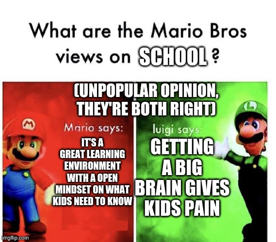 Mario Bros Views | SCHOOL; (UNPOPULAR OPINION, THEY'RE BOTH RIGHT); IT'S A GREAT LEARNING ENVIRONMENT WITH A OPEN MINDSET ON WHAT KIDS NEED TO KNOW; GETTING A BIG BRAIN GIVES KIDS PAIN | image tagged in mario bros views | made w/ Imgflip meme maker