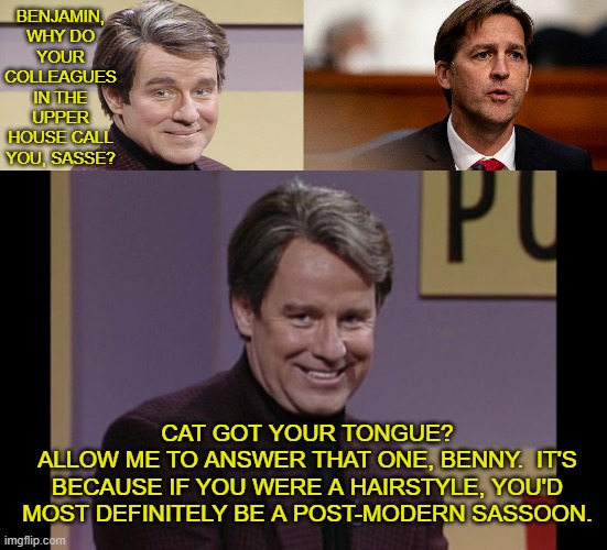 Sassy Magazine's Sassiest Boy of The Swamp | BENJAMIN, WHY DO YOUR COLLEAGUES IN THE UPPER HOUSE CALL YOU, SASSE? CAT GOT YOUR TONGUE?
ALLOW ME TO ANSWER THAT ONE, BENNY.  IT'S BECAUSE IF YOU WERE A HAIRSTYLE, YOU'D MOST DEFINITELY BE A POST-MODERN SASSOON. | image tagged in drain the swamp | made w/ Imgflip meme maker