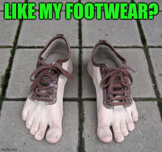 LIKE MY FOOTWEAR? | image tagged in eye roll | made w/ Imgflip meme maker